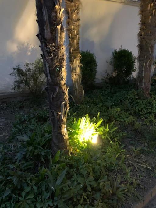At Home 128 : Little Garden In The City Турин Екстер'єр фото