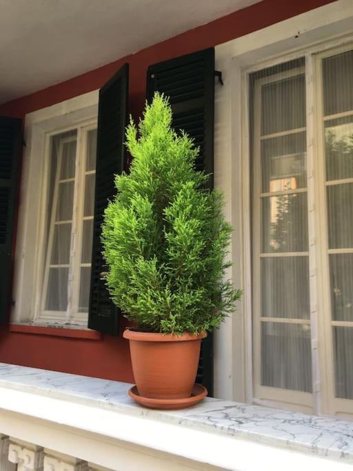 At Home 128 : Little Garden In The City Турин Екстер'єр фото